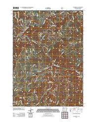 Steamboat Oregon Historical topographic map, 1:24000 scale, 7.5 X 7.5 Minute, Year 2011