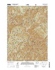 Steamboat Oregon Current topographic map, 1:24000 scale, 7.5 X 7.5 Minute, Year 2014