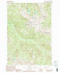 Steamboat Lake Oregon Historical topographic map, 1:24000 scale, 7.5 X 7.5 Minute, Year 1990