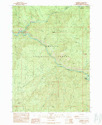 Steamboat Oregon Historical topographic map, 1:24000 scale, 7.5 X 7.5 Minute, Year 1989