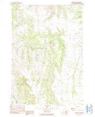Steet Mtn. Oregon Historical topographic map, 1:24000 scale, 7.5 X 7.5 Minute, Year 1990