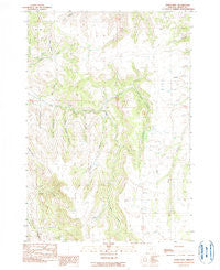 Steet Mtn. Oregon Historical topographic map, 1:24000 scale, 7.5 X 7.5 Minute, Year 1990
