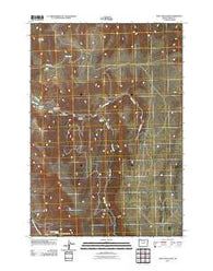 Steet Mountain Oregon Historical topographic map, 1:24000 scale, 7.5 X 7.5 Minute, Year 2011