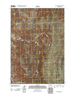 Steet Mountain Oregon Historical topographic map, 1:24000 scale, 7.5 X 7.5 Minute, Year 2011