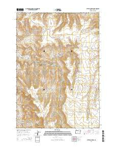 Steet Mountain Oregon Current topographic map, 1:24000 scale, 7.5 X 7.5 Minute, Year 2014