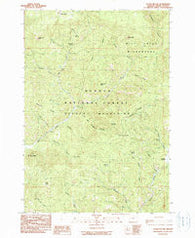 Steins Pillar Oregon Historical topographic map, 1:24000 scale, 7.5 X 7.5 Minute, Year 1990