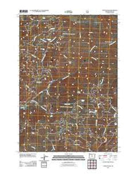 Steins Pillar Oregon Historical topographic map, 1:24000 scale, 7.5 X 7.5 Minute, Year 2011