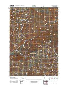 Steins Pillar Oregon Historical topographic map, 1:24000 scale, 7.5 X 7.5 Minute, Year 2011