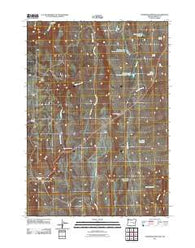 Stinkingwater Pass Oregon Historical topographic map, 1:24000 scale, 7.5 X 7.5 Minute, Year 2011