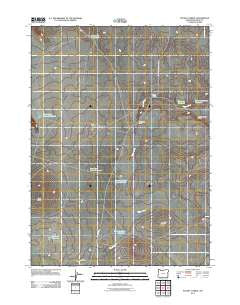 Stoney Corral Oregon Historical topographic map, 1:24000 scale, 7.5 X 7.5 Minute, Year 2011
