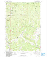 Stony Mountain Oregon Historical topographic map, 1:24000 scale, 7.5 X 7.5 Minute, Year 1979
