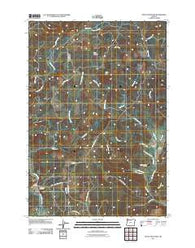 Stony Mountain Oregon Historical topographic map, 1:24000 scale, 7.5 X 7.5 Minute, Year 2011
