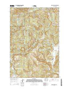 Stony Mountain Oregon Current topographic map, 1:24000 scale, 7.5 X 7.5 Minute, Year 2014