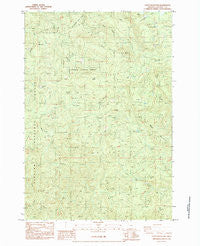 Stott Mountain Oregon Historical topographic map, 1:24000 scale, 7.5 X 7.5 Minute, Year 1984