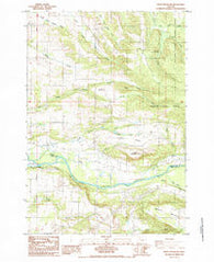 Stout Mountain Oregon Historical topographic map, 1:24000 scale, 7.5 X 7.5 Minute, Year 1985