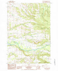 Stout Mountain Oregon Historical topographic map, 1:24000 scale, 7.5 X 7.5 Minute, Year 1985
