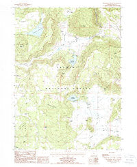 Strawberry Butte Oregon Historical topographic map, 1:24000 scale, 7.5 X 7.5 Minute, Year 1988
