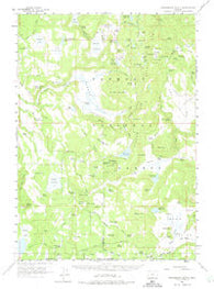 Strawberry Butte Oregon Historical topographic map, 1:62500 scale, 15 X 15 Minute, Year 1960