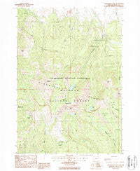 Strawberry Mtn Oregon Historical topographic map, 1:24000 scale, 7.5 X 7.5 Minute, Year 1988