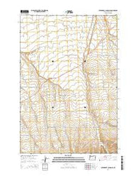 Strawberry Canyon SE Oregon Current topographic map, 1:24000 scale, 7.5 X 7.5 Minute, Year 2014