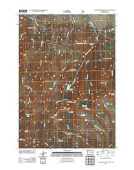 Strawberry Mountain Oregon Historical topographic map, 1:24000 scale, 7.5 X 7.5 Minute, Year 2011