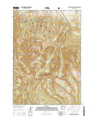 Strawberry Mountain Oregon Current topographic map, 1:24000 scale, 7.5 X 7.5 Minute, Year 2014