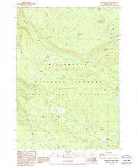 Substitute Point Oregon Historical topographic map, 1:24000 scale, 7.5 X 7.5 Minute, Year 1988