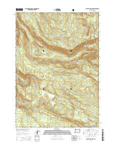 Substitute Point Oregon Current topographic map, 1:24000 scale, 7.5 X 7.5 Minute, Year 2014