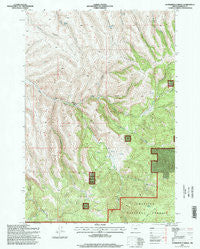 Summerfield Ridge Oregon Historical topographic map, 1:24000 scale, 7.5 X 7.5 Minute, Year 1995