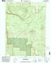 Sun Pass Oregon Historical topographic map, 1:24000 scale, 7.5 X 7.5 Minute, Year 1998