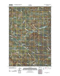 Sunset Spring Oregon Historical topographic map, 1:24000 scale, 7.5 X 7.5 Minute, Year 2011