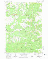 Suplee Butte Oregon Historical topographic map, 1:24000 scale, 7.5 X 7.5 Minute, Year 1981