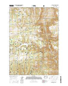 Suplee Butte Oregon Current topographic map, 1:24000 scale, 7.5 X 7.5 Minute, Year 2014