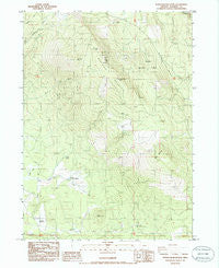 Surveyor Mountain Oregon Historical topographic map, 1:24000 scale, 7.5 X 7.5 Minute, Year 1985