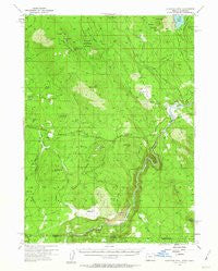 Surveyor Mtn Oregon Historical topographic map, 1:62500 scale, 15 X 15 Minute, Year 1955