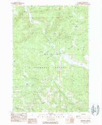 Susanville Oregon Historical topographic map, 1:24000 scale, 7.5 X 7.5 Minute, Year 1990