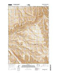 Swaggart Buttes Oregon Current topographic map, 1:24000 scale, 7.5 X 7.5 Minute, Year 2014