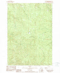 Swamp Mountain Oregon Historical topographic map, 1:24000 scale, 7.5 X 7.5 Minute, Year 1989