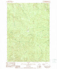 Swamp Mountain Oregon Historical topographic map, 1:24000 scale, 7.5 X 7.5 Minute, Year 1989
