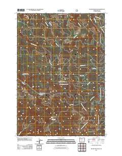Swamp Mountain Oregon Historical topographic map, 1:24000 scale, 7.5 X 7.5 Minute, Year 2011