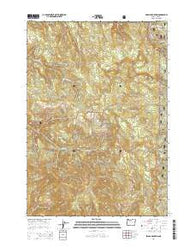 Swamp Mountain Oregon Current topographic map, 1:24000 scale, 7.5 X 7.5 Minute, Year 2014