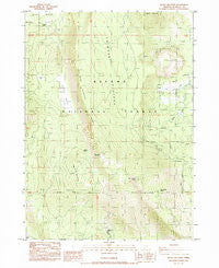 Swan Lake Point Oregon Historical topographic map, 1:24000 scale, 7.5 X 7.5 Minute, Year 1985