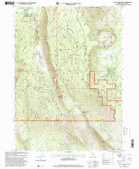 Swan Lake Point Oregon Historical topographic map, 1:24000 scale, 7.5 X 7.5 Minute, Year 1998
