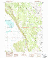 Swan Lake Oregon Historical topographic map, 1:24000 scale, 7.5 X 7.5 Minute, Year 1985