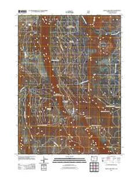 Swan Lake Point Oregon Historical topographic map, 1:24000 scale, 7.5 X 7.5 Minute, Year 2011