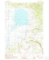 Sycan Marsh East Oregon Historical topographic map, 1:24000 scale, 7.5 X 7.5 Minute, Year 1988