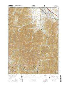 Talent Oregon Current topographic map, 1:24000 scale, 7.5 X 7.5 Minute, Year 2014