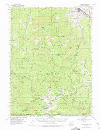 Talent Oregon Historical topographic map, 1:62500 scale, 15 X 15 Minute, Year 1954