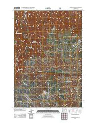 Tamarack Gulch Oregon Historical topographic map, 1:24000 scale, 7.5 X 7.5 Minute, Year 2011