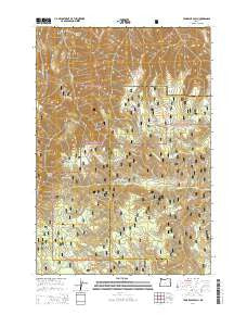 Tamarack Gulch Oregon Current topographic map, 1:24000 scale, 7.5 X 7.5 Minute, Year 2014